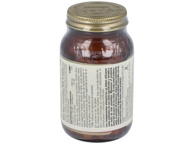 Vitamina C 500Mg Rose Hips 100Com