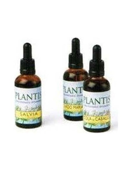 Plantis Extracto Cola Caballo Sin Alcohol 50Ml