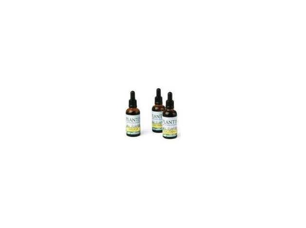 Maese Herbario Extracto Gayuba 50Ml