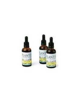 Ext.Ginkgo Biloba 50Ml...