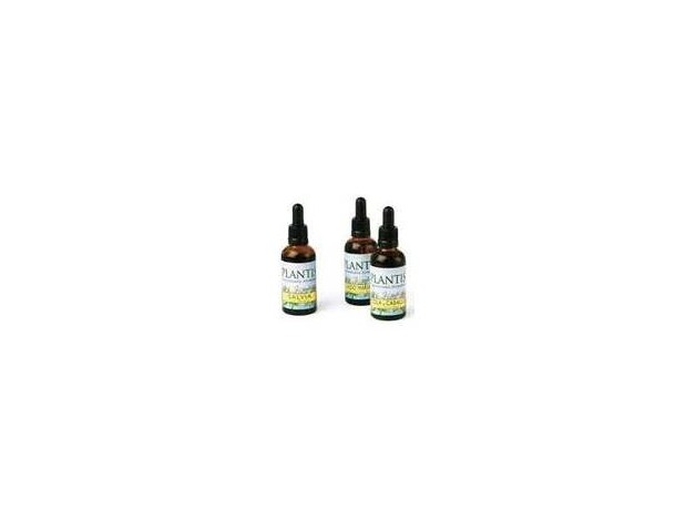 Ext.Ginkgo Biloba 50Ml Maese Herbario