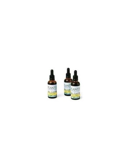 Ext.Ginkgo Biloba 50Ml Maese Herbario
