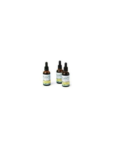Ext.Manzanilla 50Ml Maese Herbario