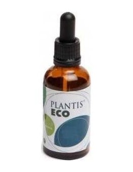Ext.Brusco (Ruscus) 50Ml...
