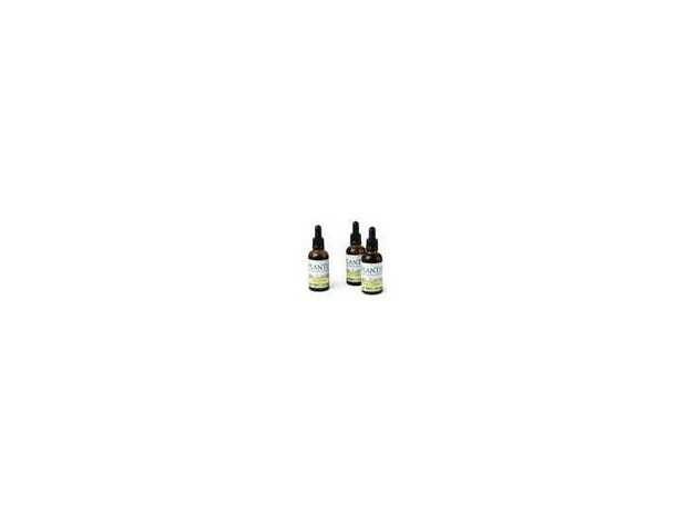 Ext.Olivo 50Ml Maese Herbario