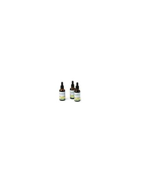 Ext.Olivo 50Ml Maese Herbario