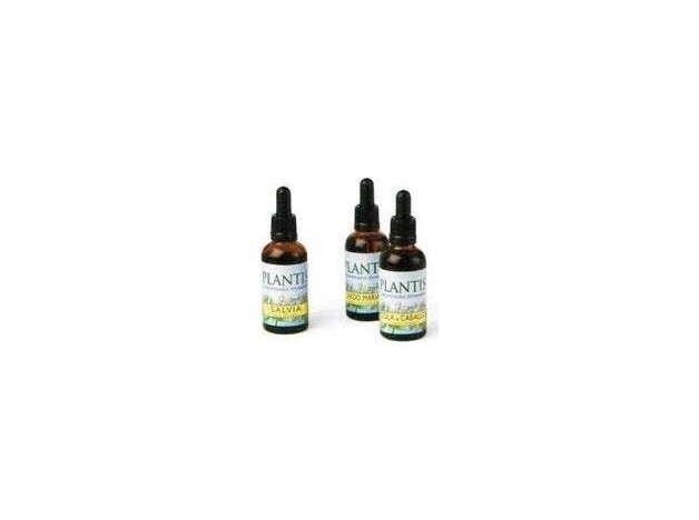 Ext.Castaño De Indias 50Ml Maese Herbario