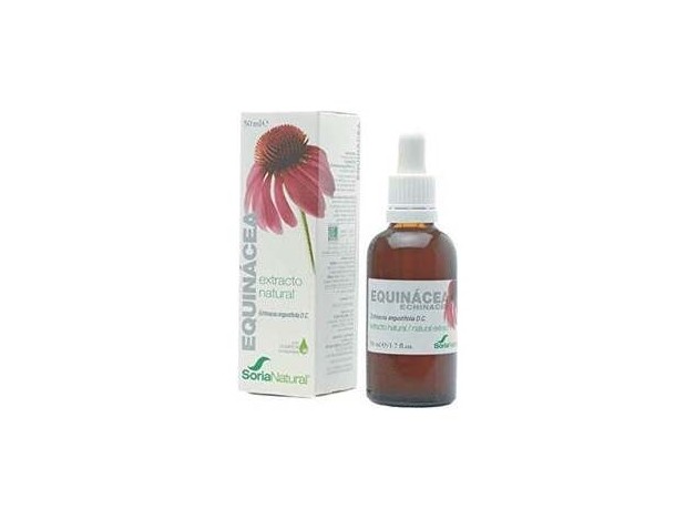 Ext. Echinacea S/Al Eco 50Ml.