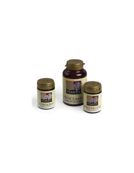 Cinaris (Alcachofa) Plantis 60Cap.