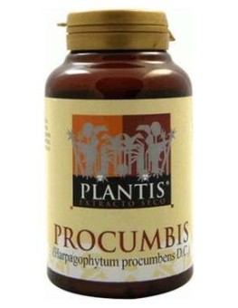 Procumbis Plantis...