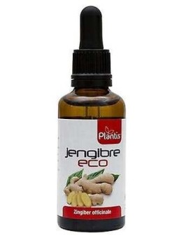 Plantis Ext. Jengibre Eco 50Ml