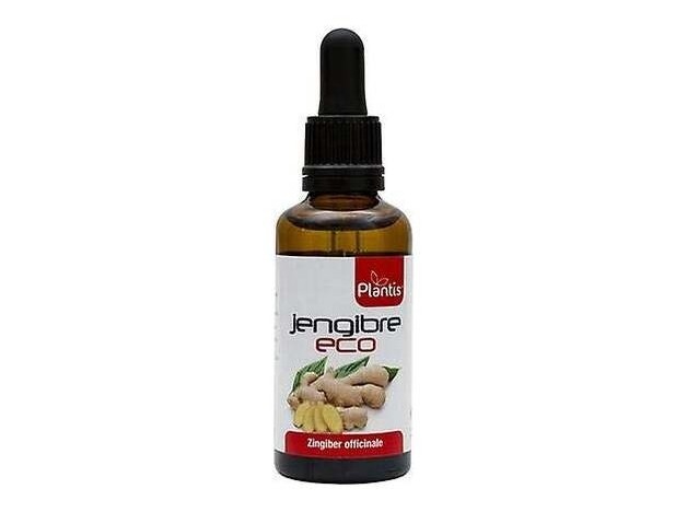 Plantis Ext. Jengibre Eco 50Ml