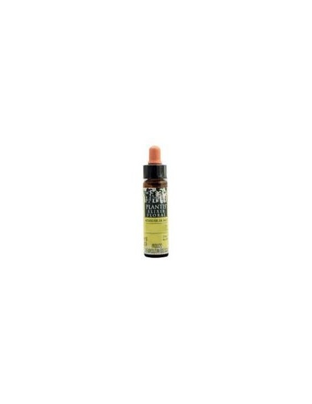 Chestnut Bud Plantis Flores De Bach Nº 07 10Ml.