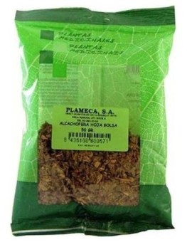 Plameca Alcachofera Hierba...