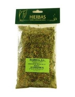 Plameca Desmodium Hierba...