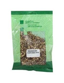 Echinacea Purpurea Raiz...