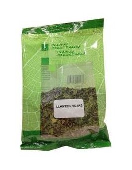Llanten Hojas Trituradas...