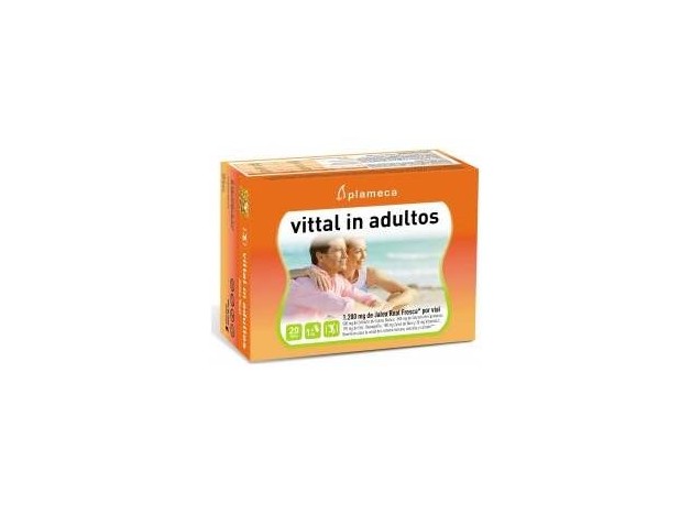 Vital In Adultos Jalea Real 20Amp