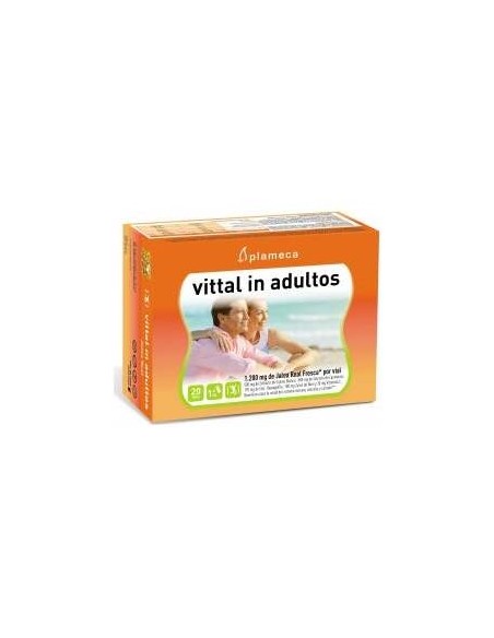 Vital In Adultos Jalea Real 20Amp