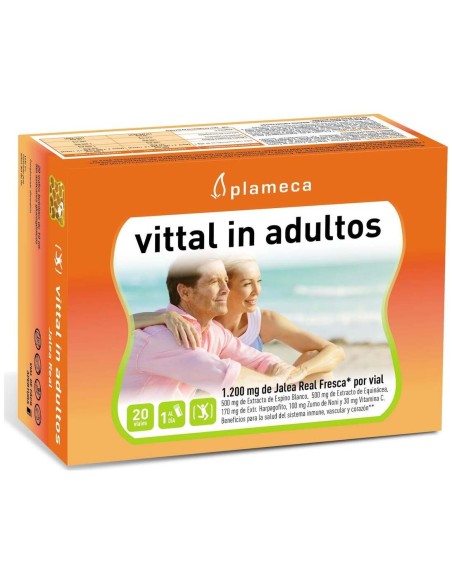 Vital In Adultos Jalea Real 20Amp