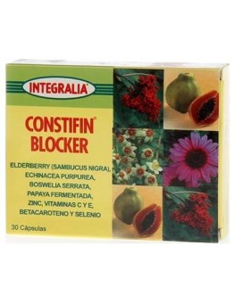 Integralia Constifin...