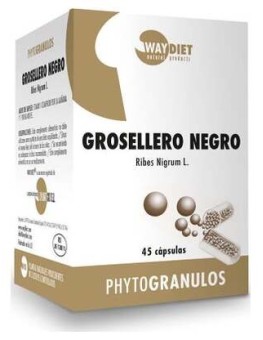 Waydiet Natural Grosellero...