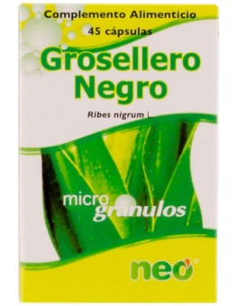 Grosellero Negro...