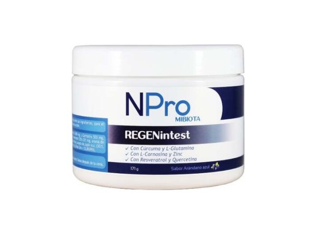 Npro Regenintest 171Gr.