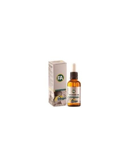 Erlingen Fitoaroma 256 55Ml