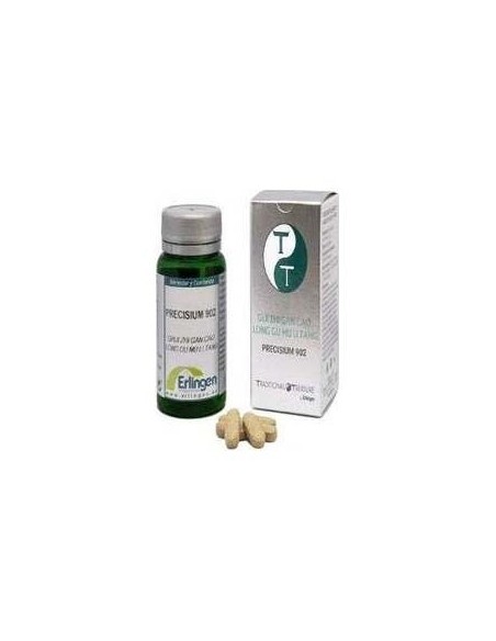 Erlingen Precisium 902 60Comp