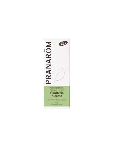 Gaulteria Wintergreen Aceite Esencial Bio 10Ml.