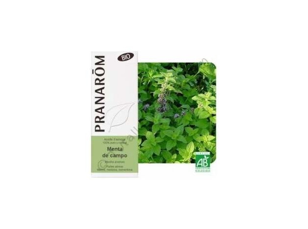 Menta Campo Aceite Esencial Alimentario Bio 10Ml.