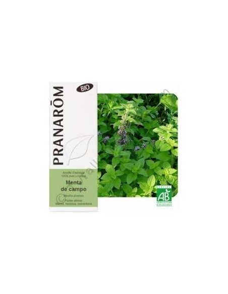 Menta Campo Aceite Esencial Alimentario Bio 10Ml.