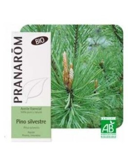 Pino Silvestre Aceite...