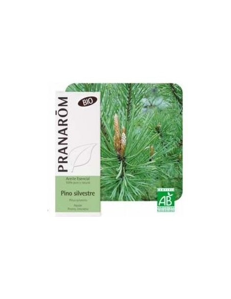 Pino Silvestre Aceite Esencial Bio 10Ml.