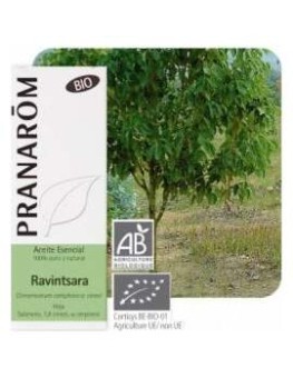 Ravensara Bio 10Ml Aceite...