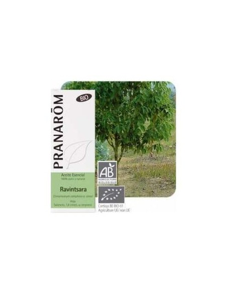 Ravensara Bio 10Ml Aceite Esencial
