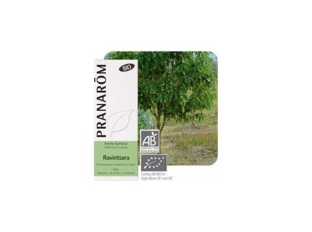 Ravensara Bio 10Ml Aceite Esencial