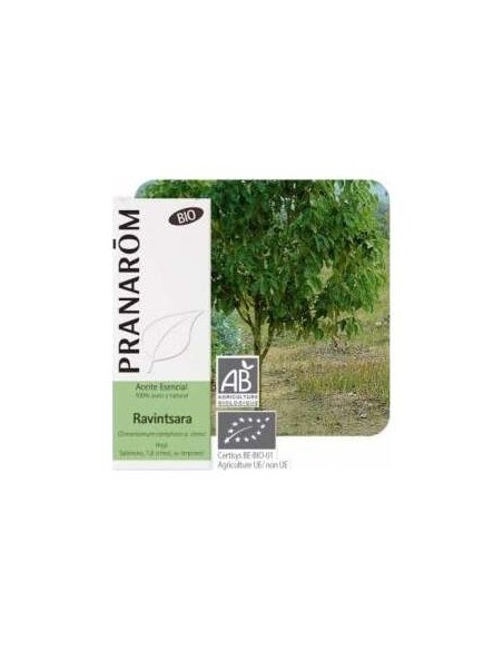 Ravensara Bio 10Ml Aceite Esencial