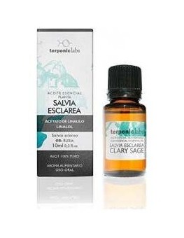 Salvia Sclarea Romana...