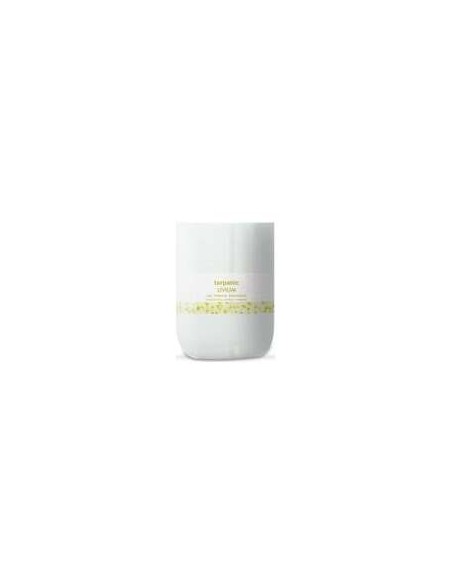 Terpenic Livium Gel Piernas Cansadas Evo Pro 1000Ml
