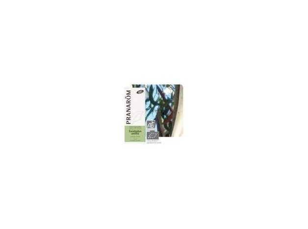 Terpenic Eucalipto Smithii Aceite Esencial Bio...