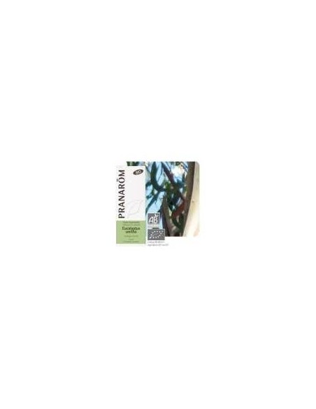 Terpenic Eucalipto Smithii Aceite Esencial Bio 10Ml