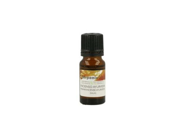 Incienso Ayurveda Aceite Esencial 10Ml