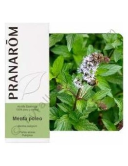 Menta Poleo Aceite Esencial...