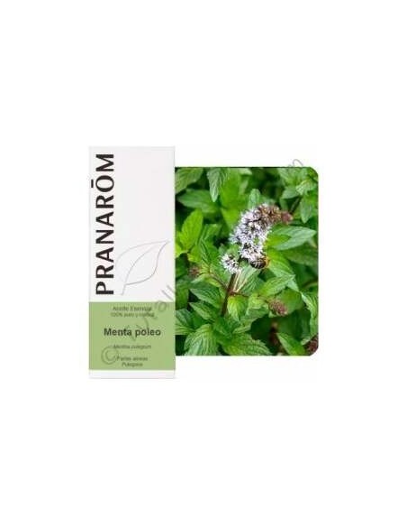 Menta Poleo Aceite Esencial Alimentario 10Ml.