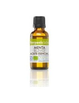 Menta Campo Aceite Esencial...