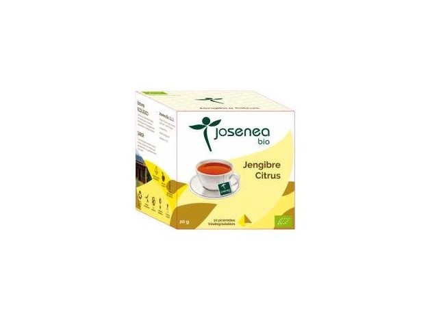 Jengibre-Citrus 10Piramides Ensobradas Bio