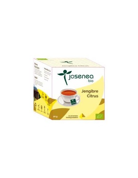 Jengibre-Citrus 10Piramides Ensobradas Bio