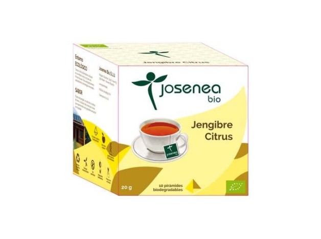Jengibre-Citrus 10Piramides Ensobradas Bio